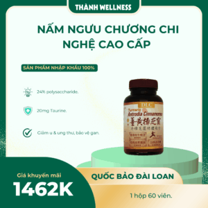 Nấm Ngưu Chương Chi Đài Loan Loại Cao Cấp