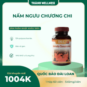 Nấm Ngưu Chương Chi (Antrodia Cinnamomea) - Khắc Tinh Bệnh Gan, Ung Thư